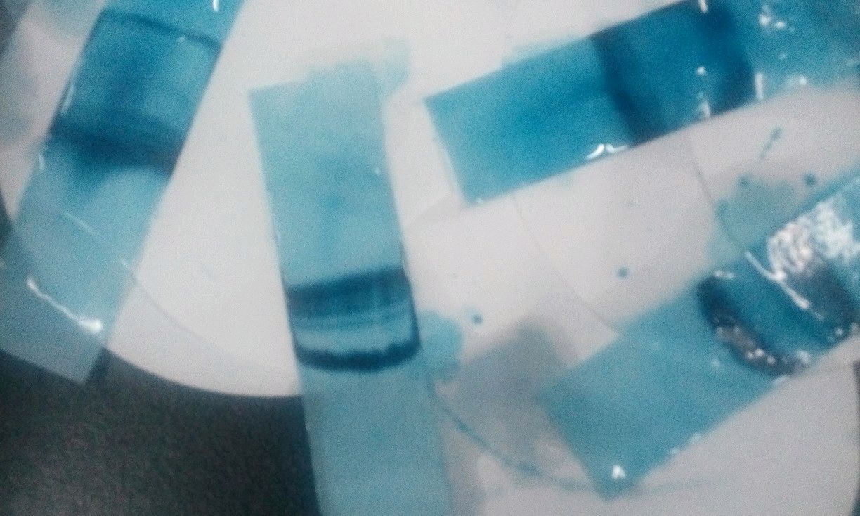 机能学实验A课程封面