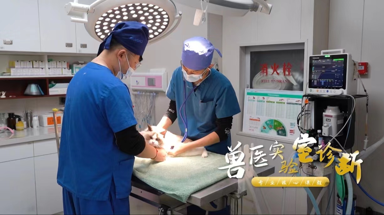 兽医实验室诊断课程封面