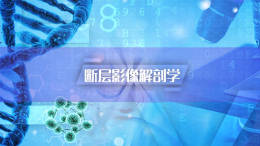 断层影像解剖学课程封面