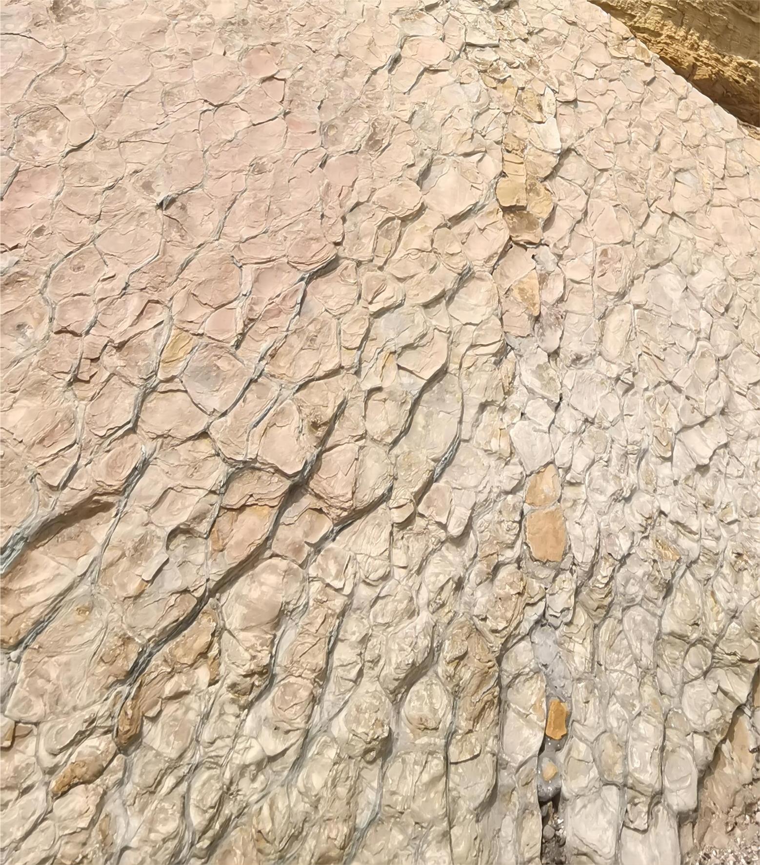 《工程岩土》课程封面