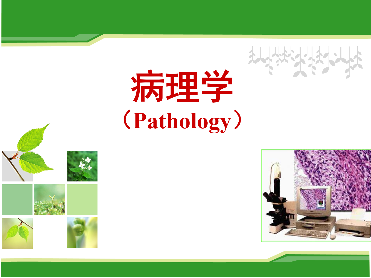 病理学（中医）课程封面