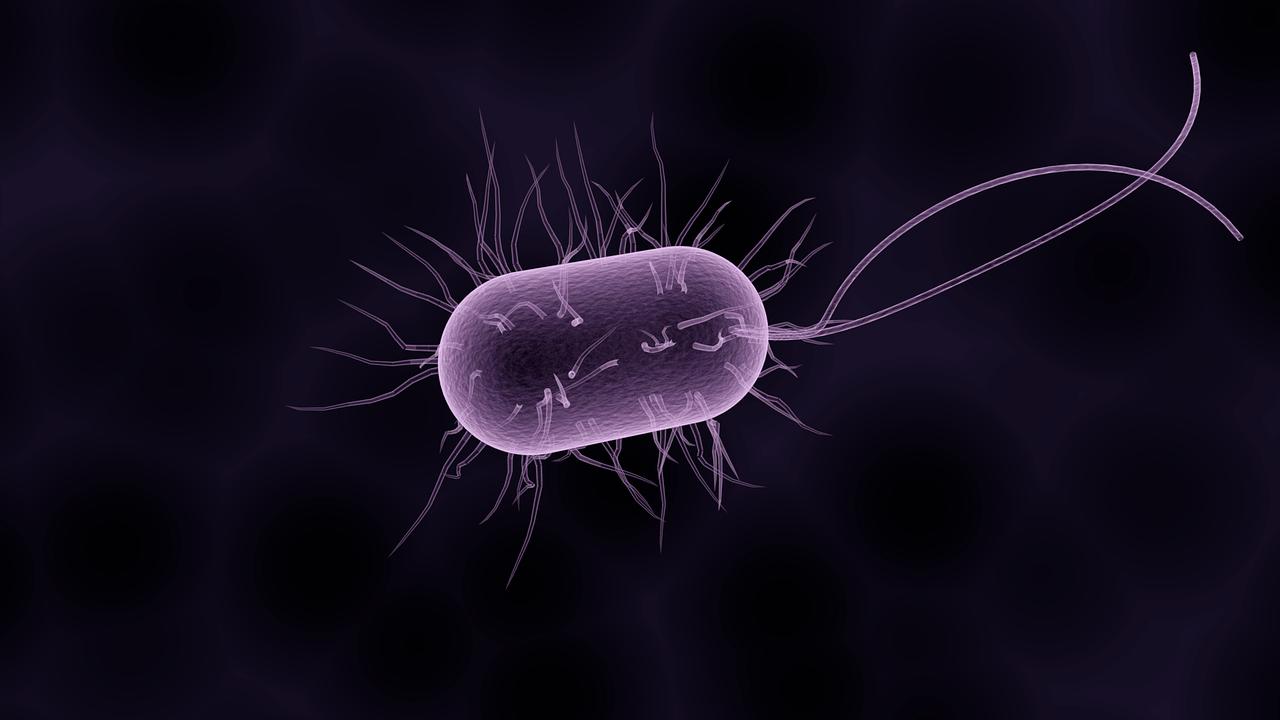 临床微生物学检验课程封面