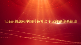 毛泽东思想和中国特色社会主义理论体系概论课程封面