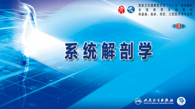 系统解剖学课程封面