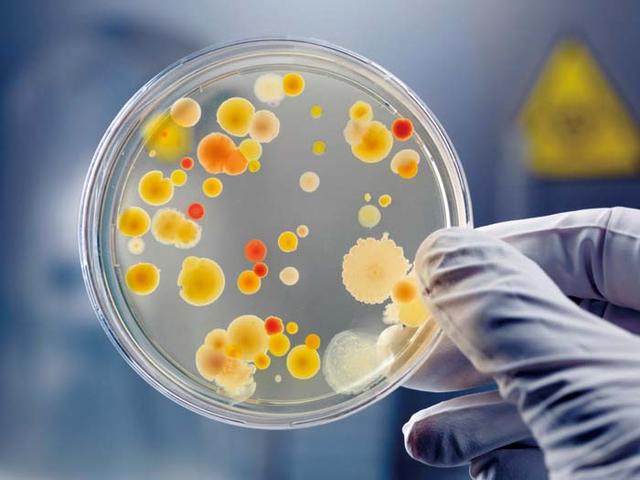 病原生物学与免疫学课程封面