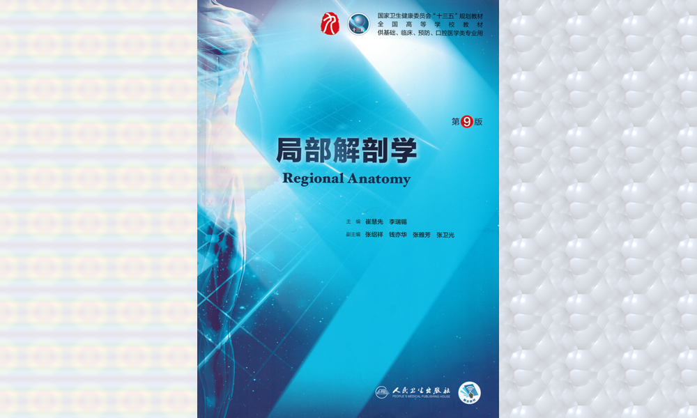 局部解剖学课程封面