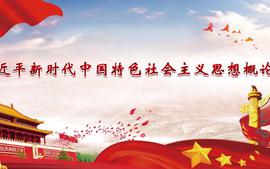 习近平新时代中国特色社会主义思想概论课程封面
