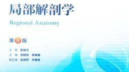 局部解剖学（山东联盟-滨州医学院）课程封面