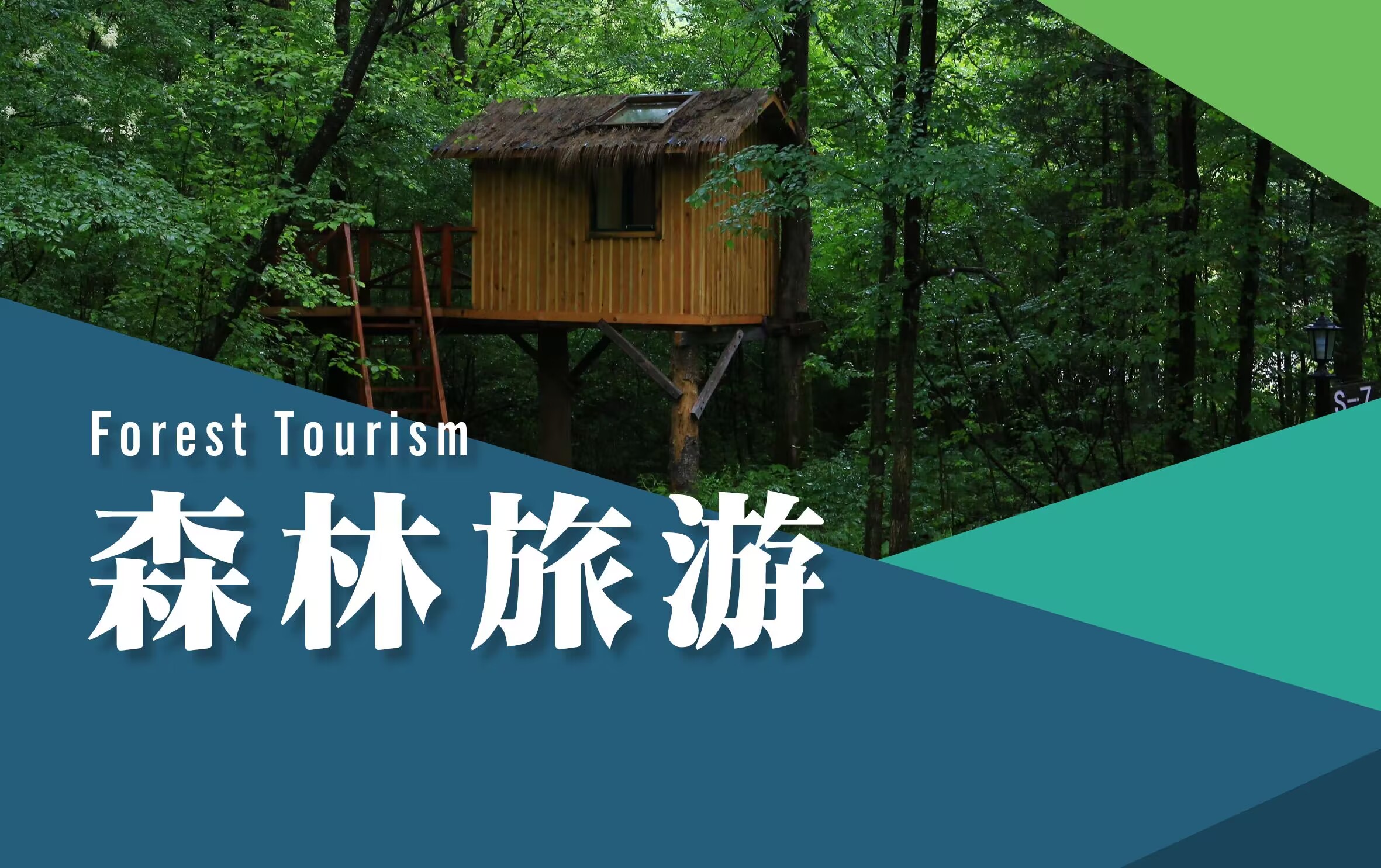 森林旅游课程封面