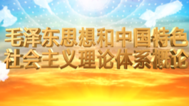 毛泽东思想和中国特色社会主义理论体系概论课程封面
