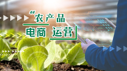 农产品电商运营课程封面