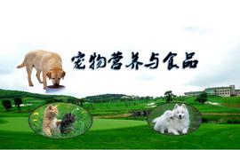 宠物营养与食品课程封面