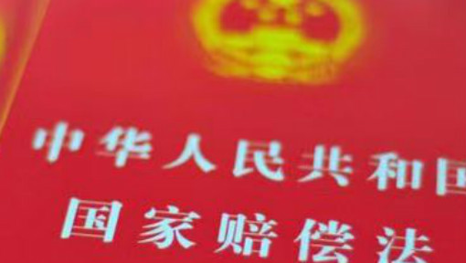 国家赔偿法（2023-2024-1）课程封面