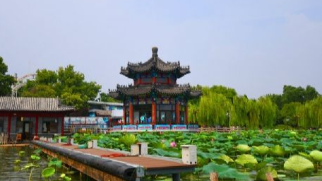 专升本大学语文课程封面