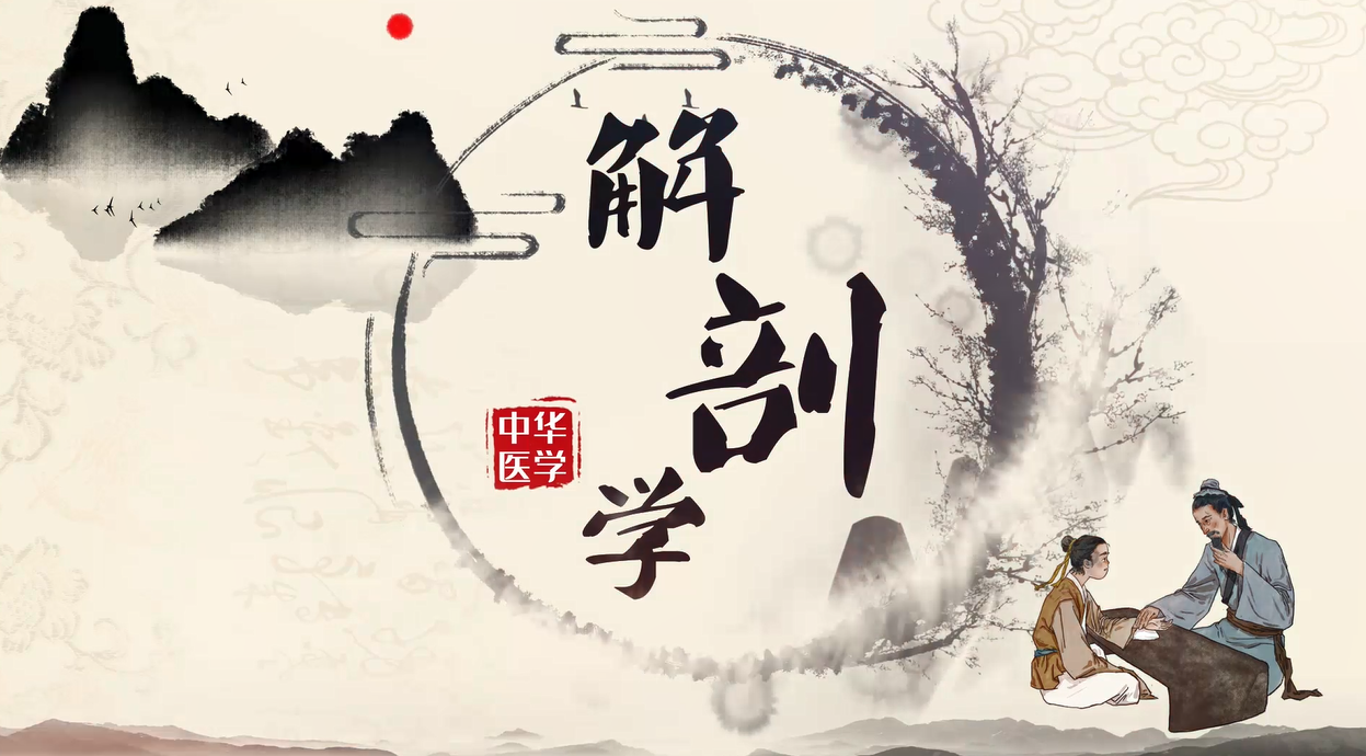 人体解剖学与组织学课程封面