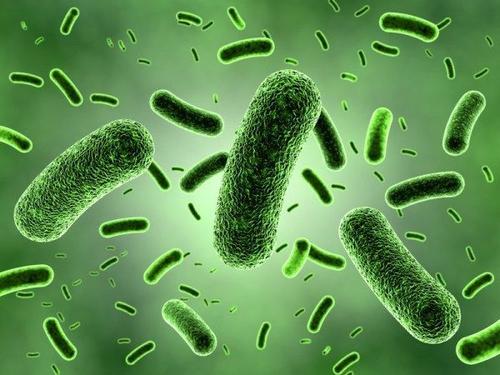 病原生物学（医学微生物学）课程封面