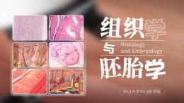 [共享课]组织学与胚胎学（中山大学）课程封面