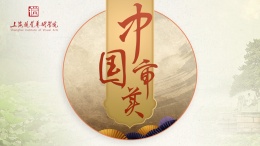 中国审美（上海民办高校联盟）课程封面
