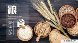 粮食加工技术课程封面