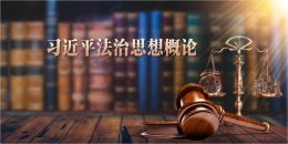 [共享课]习近平法治思想概论（山东联盟）课程封面