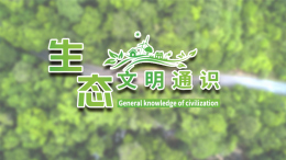 生态文明通识课程封面