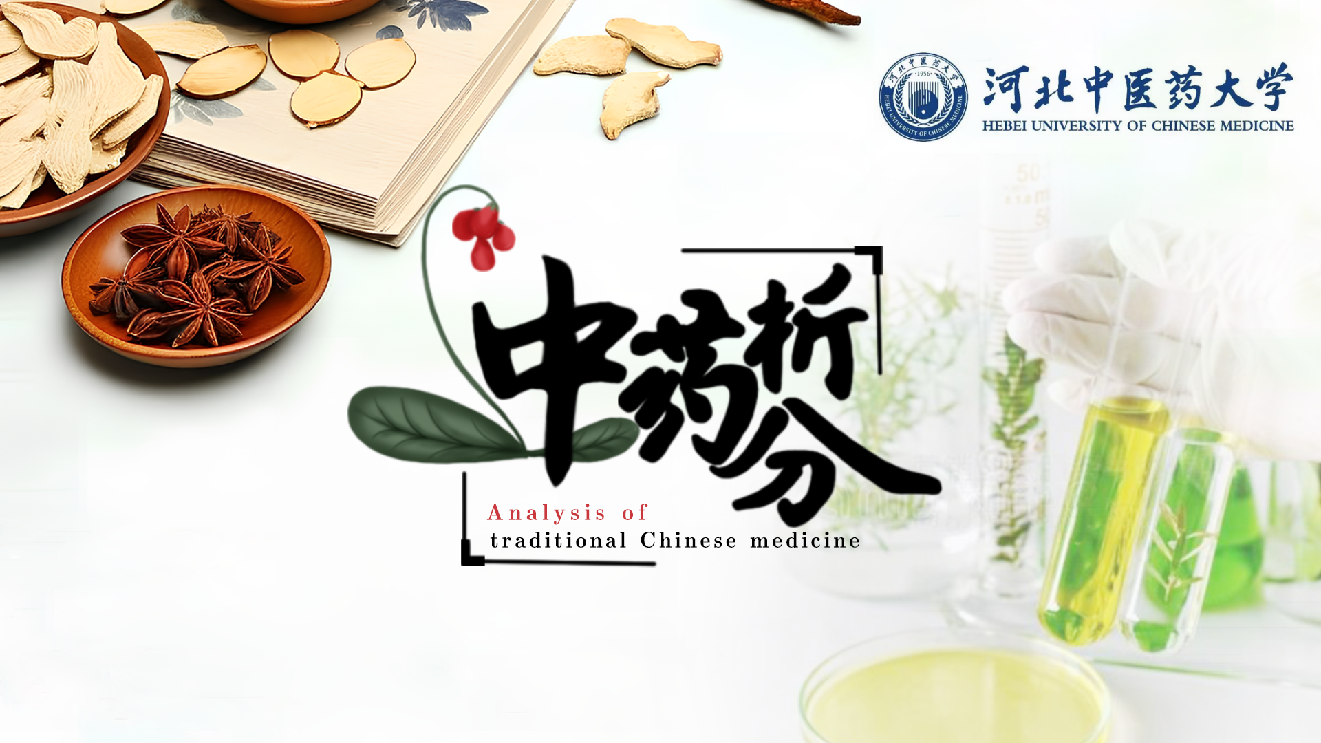 中药分析课程封面
