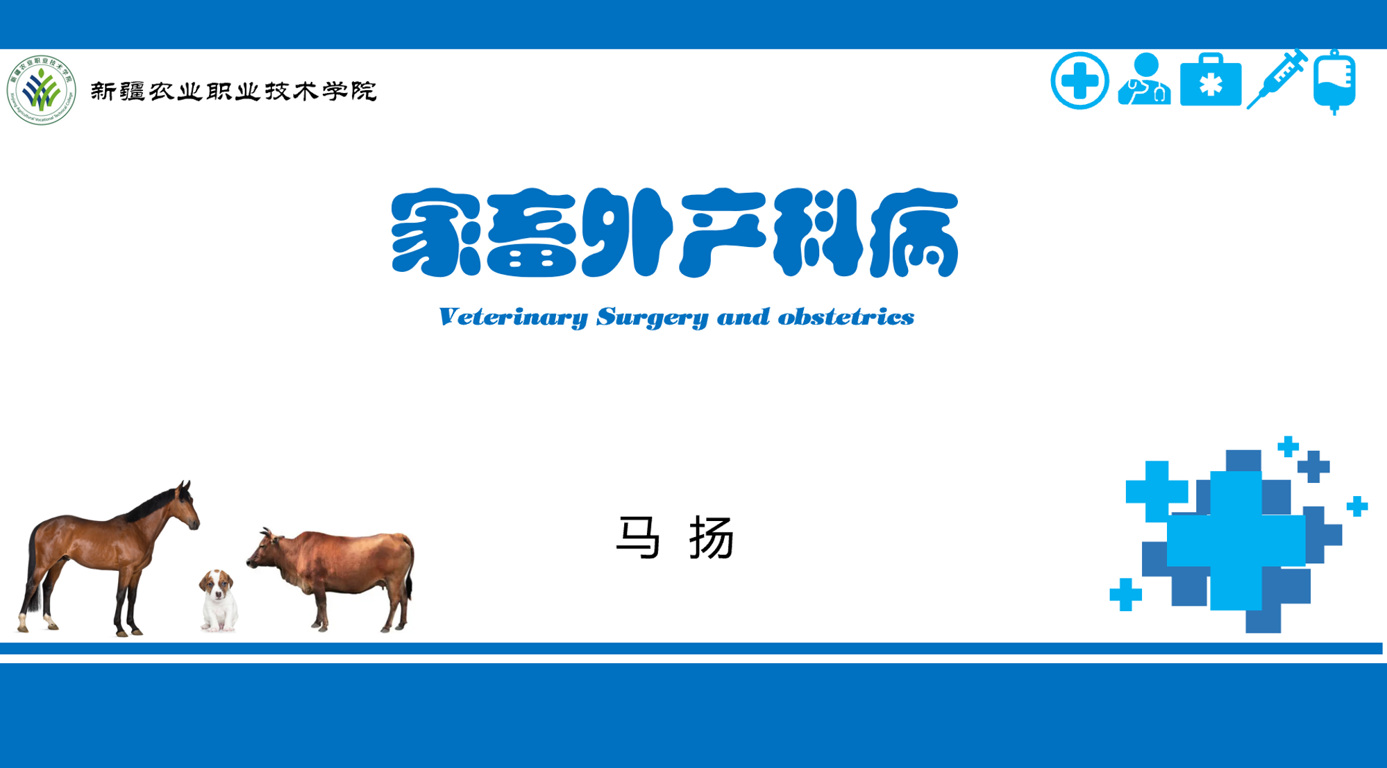 家畜外产科病课程封面
