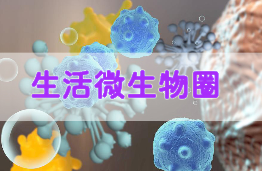 《生活微生物圈》（第十三期）课程封面