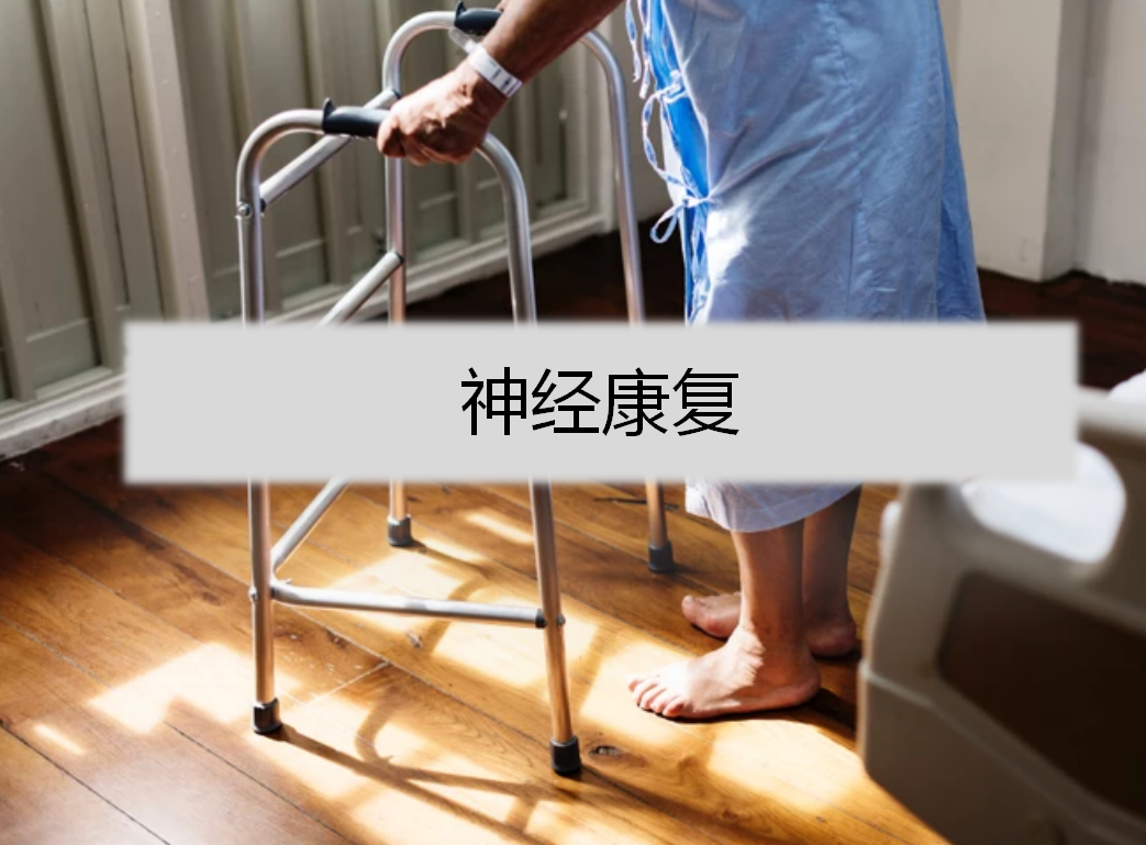 神经康复课程封面