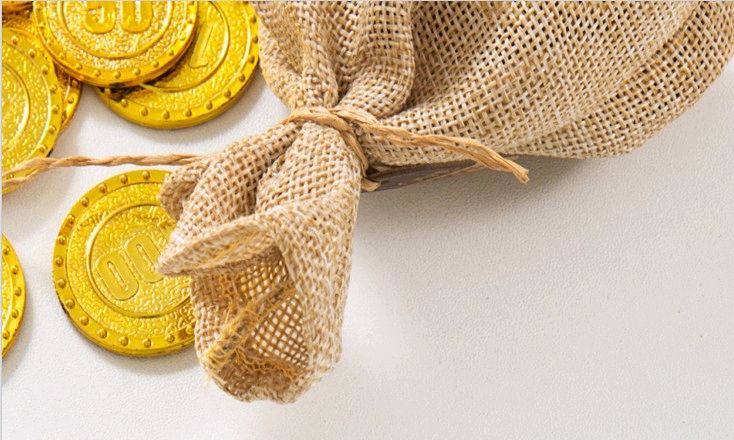 金融学2024课程封面