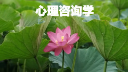 心理咨询学课程封面