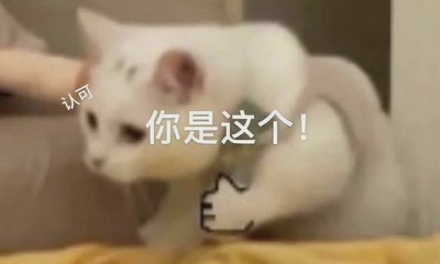 教育研究方法课程封面