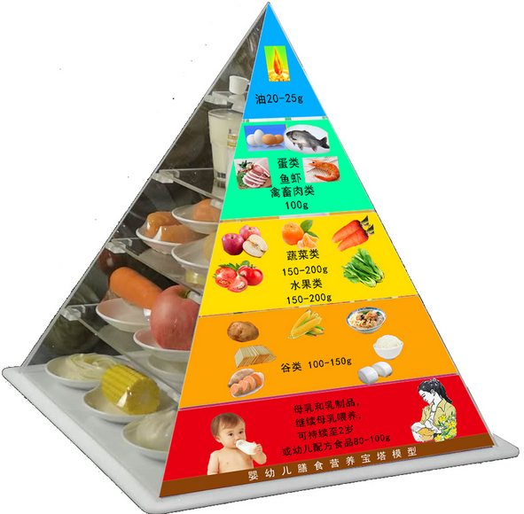 食品营养学（21级选修）课程封面