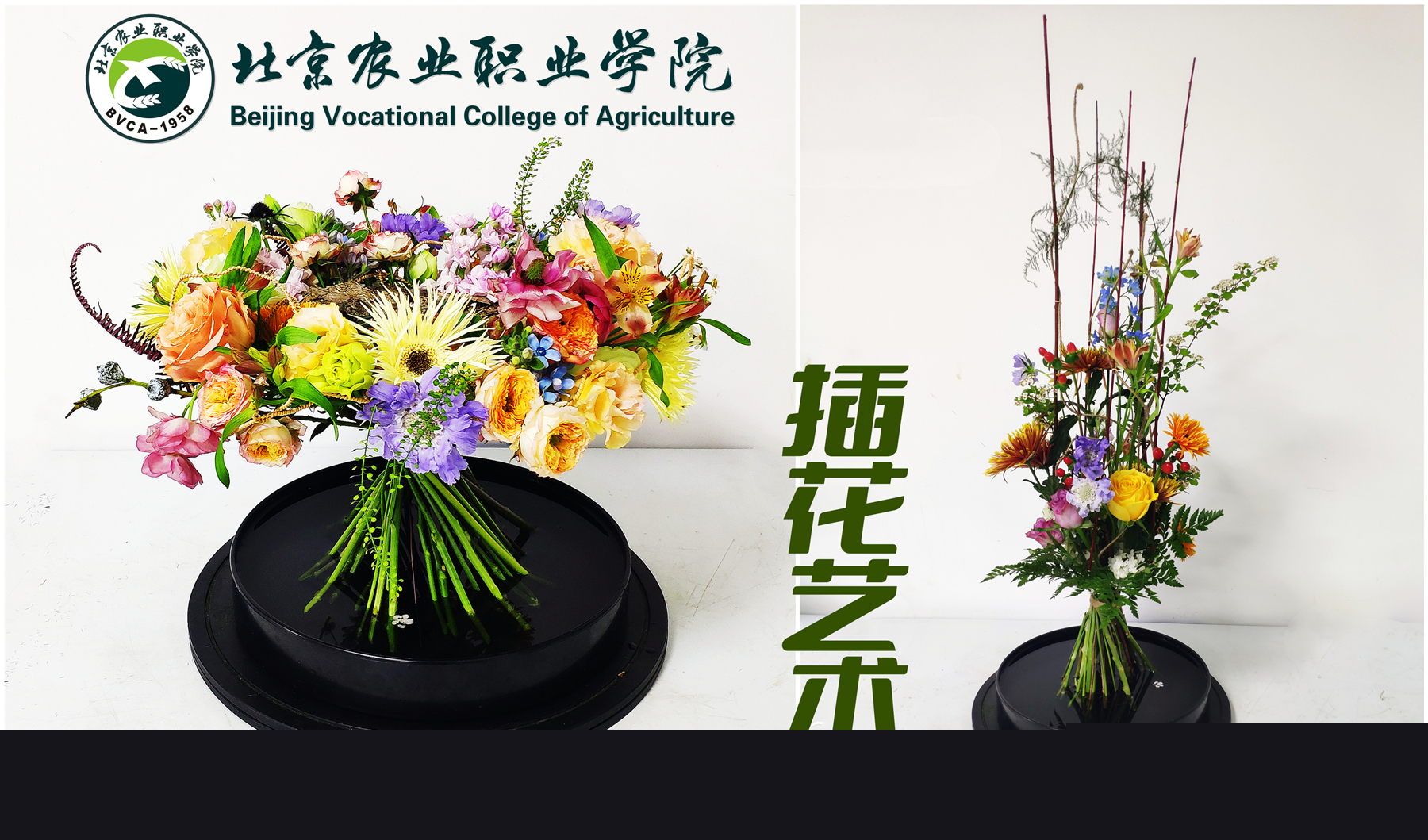 插花艺术课程封面