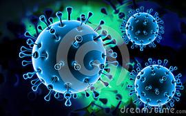 微生物学检验-2021级（扩弹）课程封面