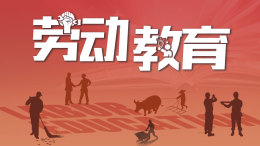 劳动教育课程封面