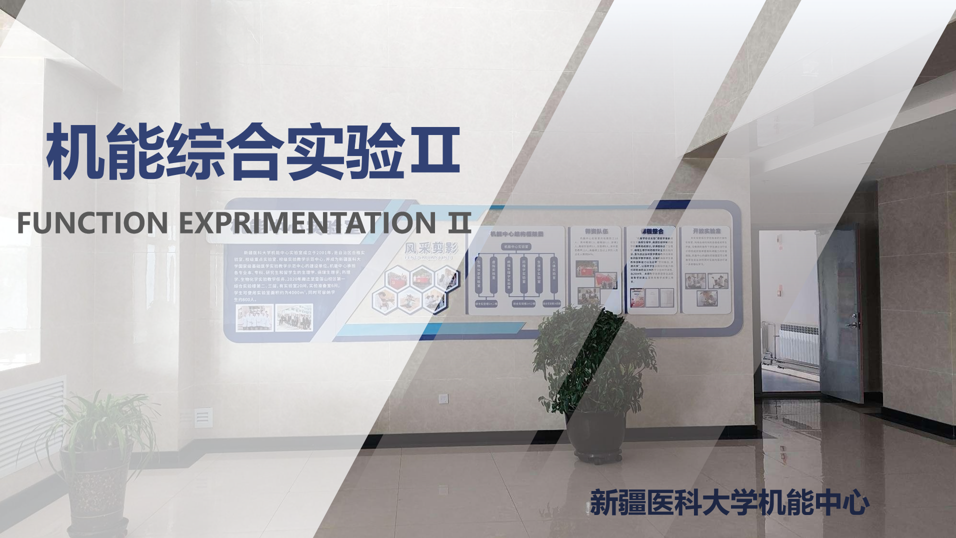 机能综合实验Ⅱ课程封面