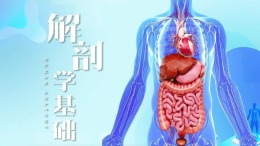 [共享课]解剖学基础课程封面