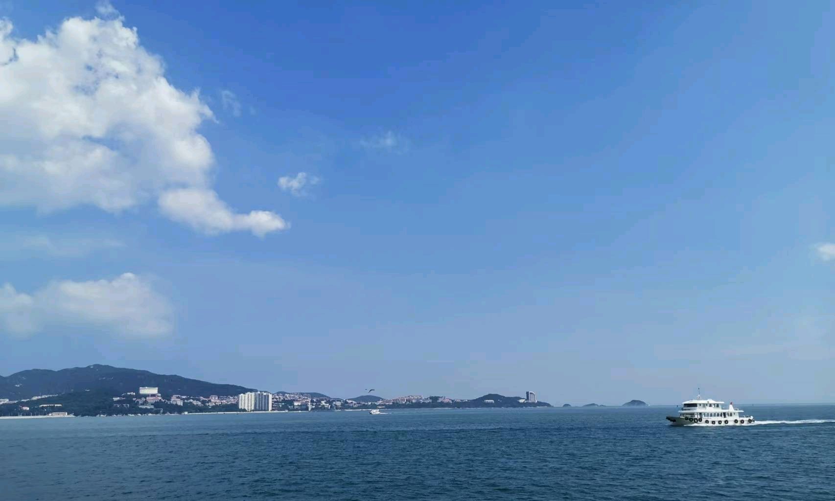 中药化学（第五期）课程封面