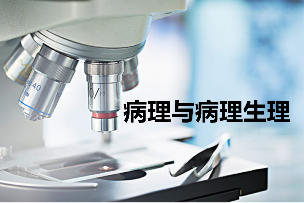 病理学与病理生理学（2025春季学期）课程封面