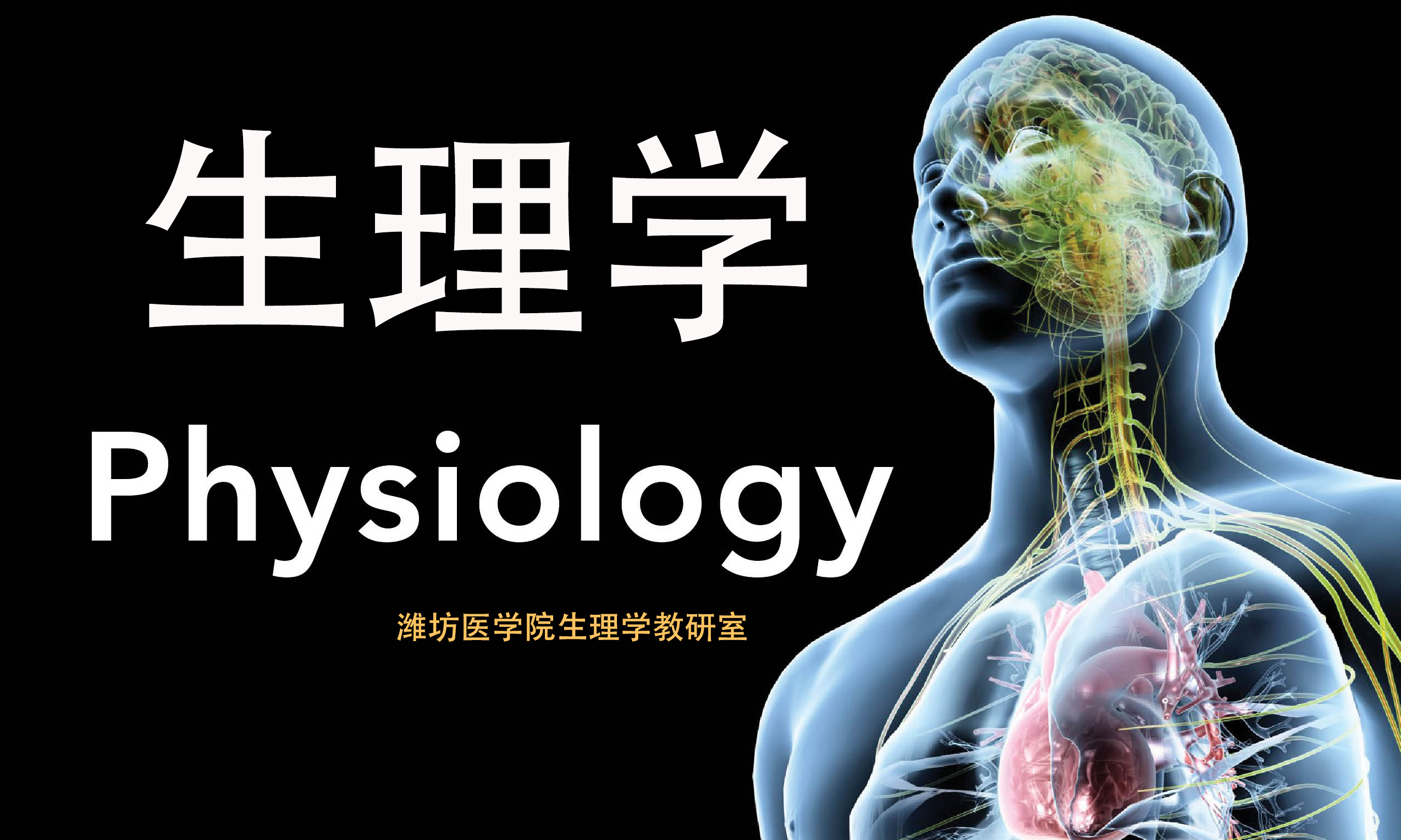 生理学课程封面