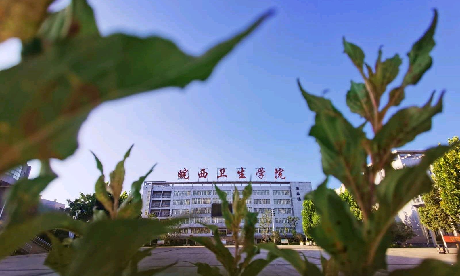 妇产科护理课程封面