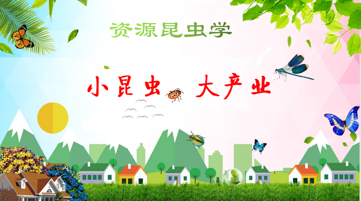 资源昆虫学——小昆虫 大产业课程封面