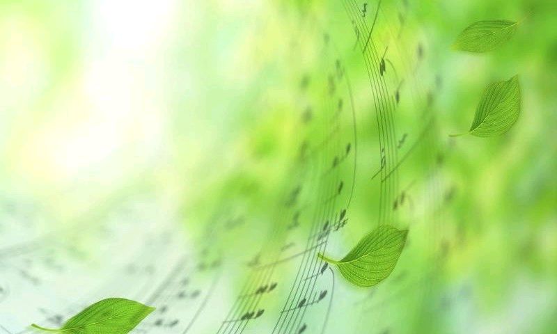 音乐鉴赏课程封面