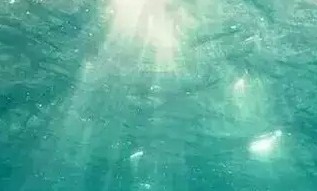 ★中国现当代文学 Ⅱ课程封面