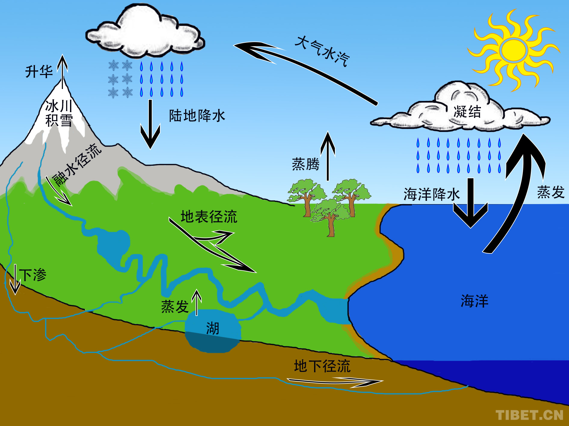 天气学原理课程封面