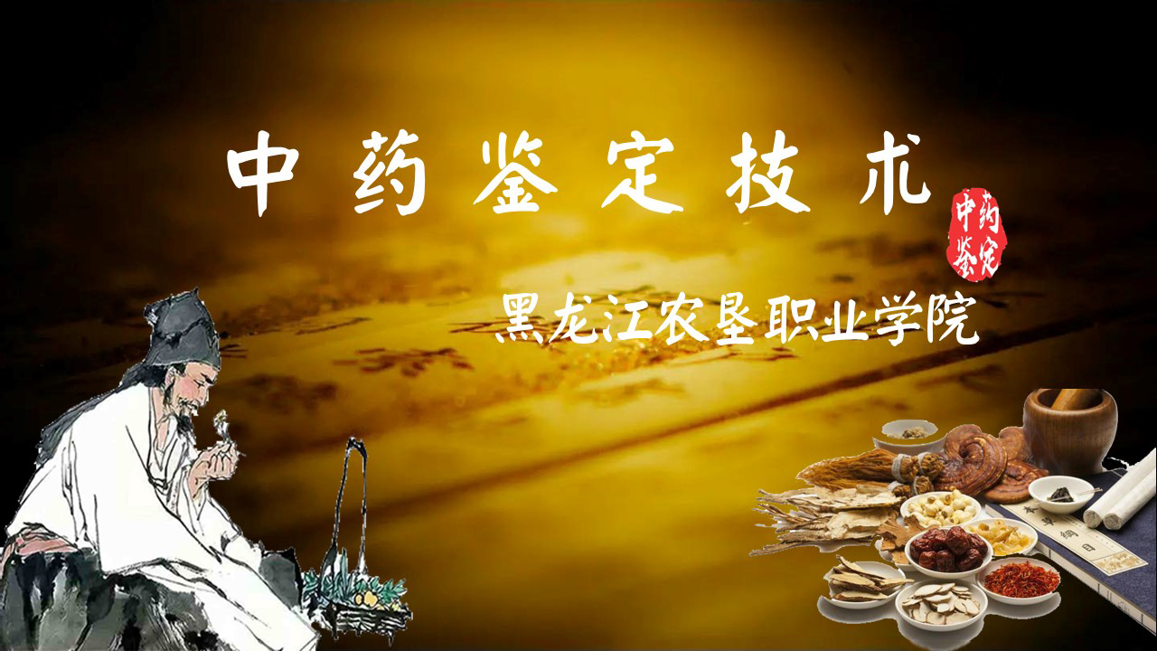中药鉴定技术课程封面