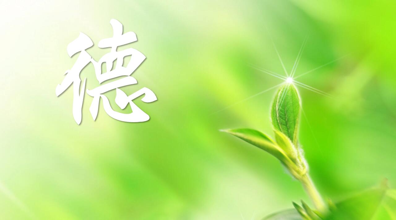 德育原理课程封面