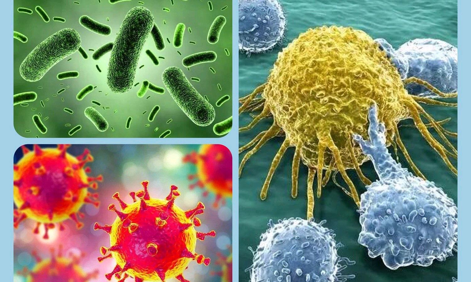 病原生物学与免疫学（在线课）课程封面