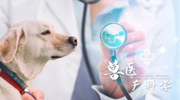 兽医产科学课程封面